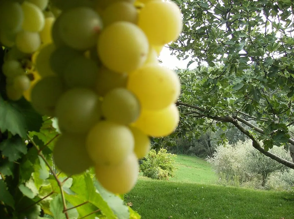 Farm stay Agriturismo Casa Garello Villa Salice Terme